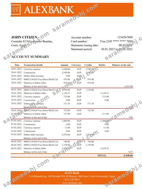 Egypt Alex bank statement xls